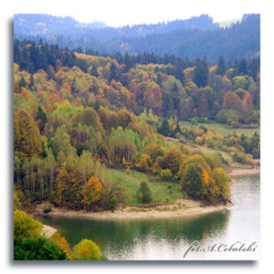 fot. A. Cebulski
