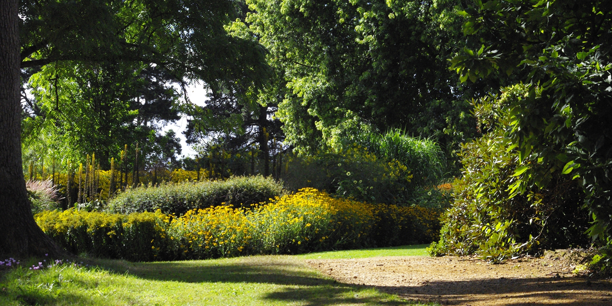Sevill Garden